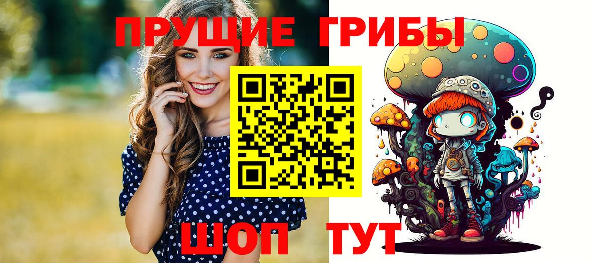 Карачаевск  Галлюциногенные грибы Psilocybe  Вход с VPN  Псилоцибиновые грибы ЛСД 